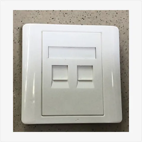 Faceplate-2Port 2-port keystone wall faceplate for cctv connectors - RainboParts