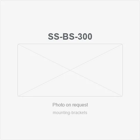 SS-BS-300 for mounting brackets - RainboParts